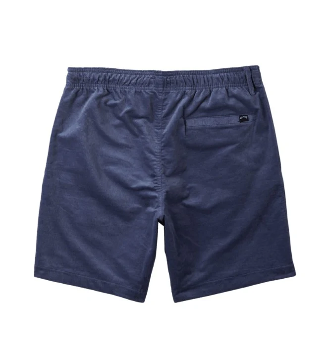 Bilabong Mens Shorts Larry Corduroy 20" - Image 30