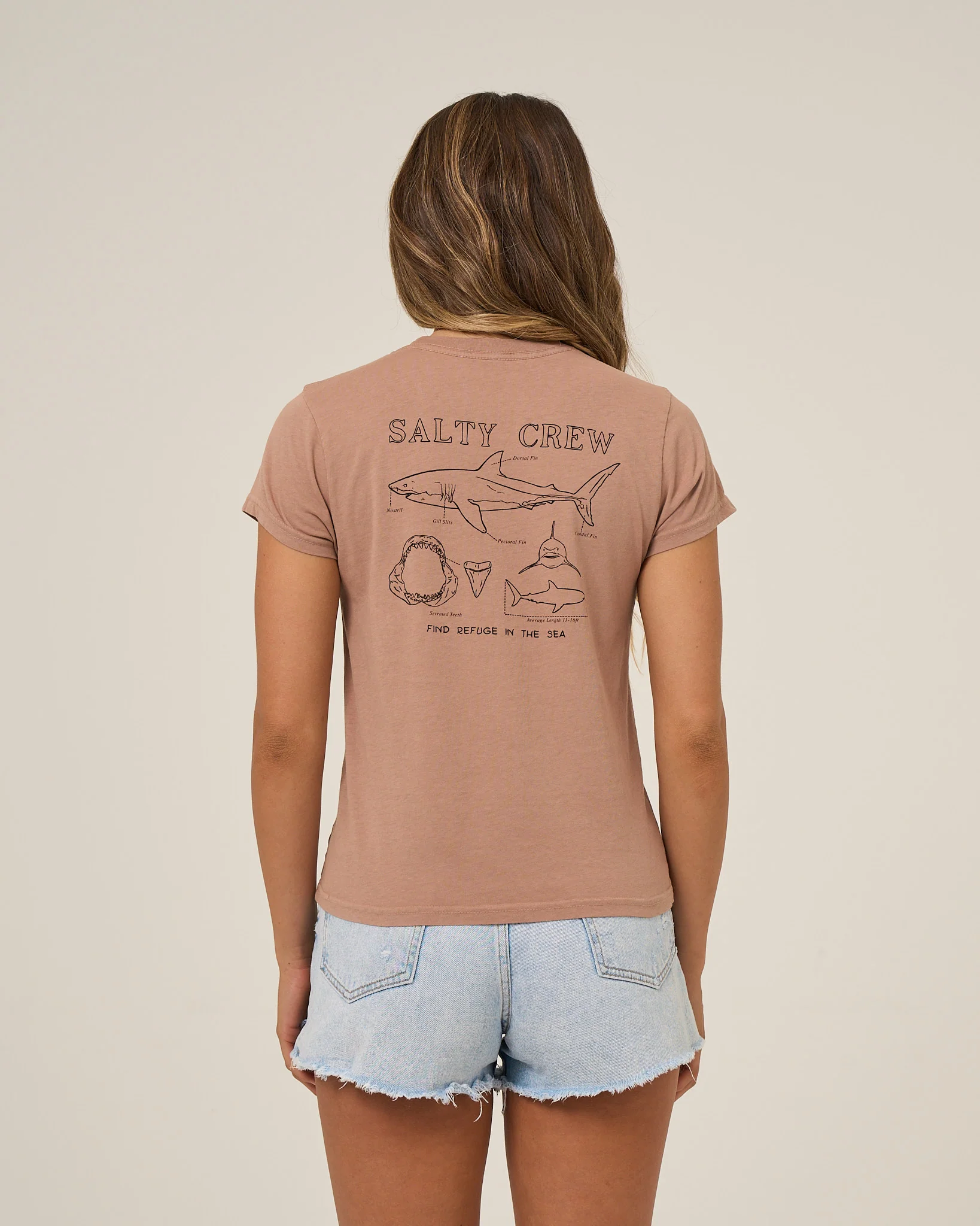 Salty Crew Womens Shirt Shark Anatomy Modern Tee - Image 5